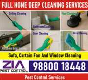 Professional Deep Cleaning Services | Zia Pest Control